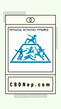 physicial activitiy pyramid